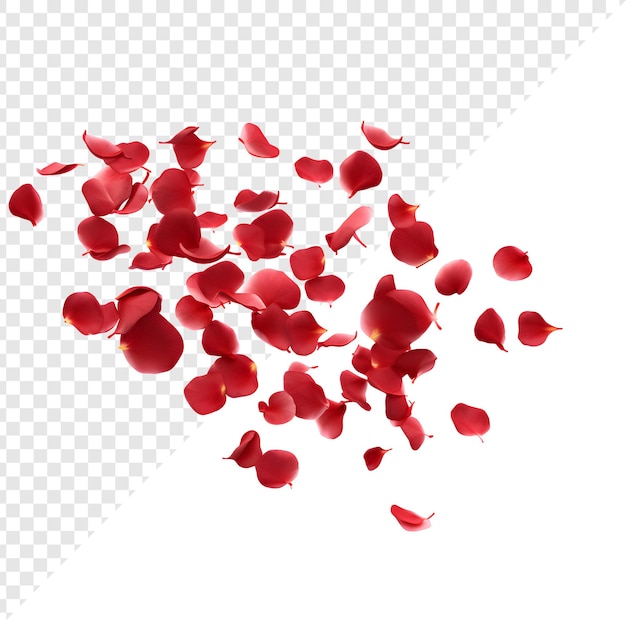 PSD transparent background with beautiful red rose petals