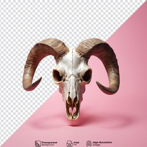 PSD transparent background with a horned sheep skull head isolated