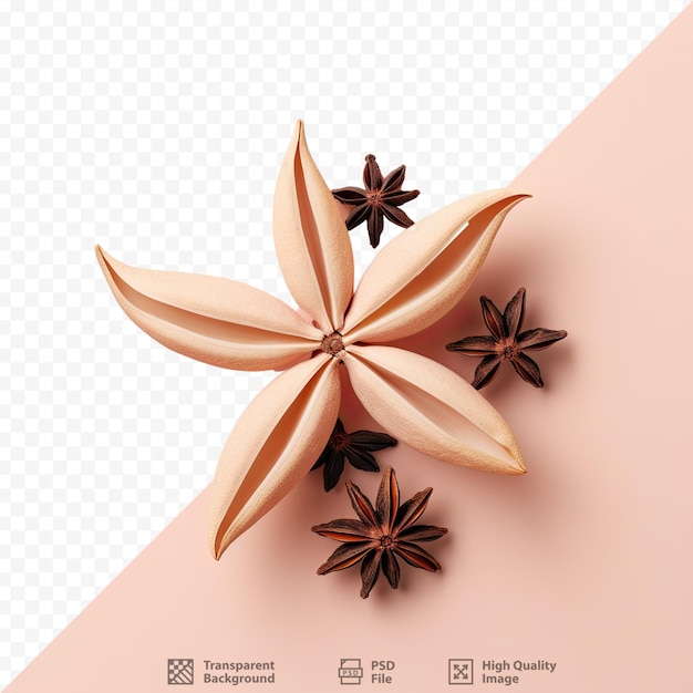 PSD transparent background with isolated star anise