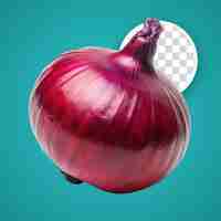 PSD transparent background with red onion isolated