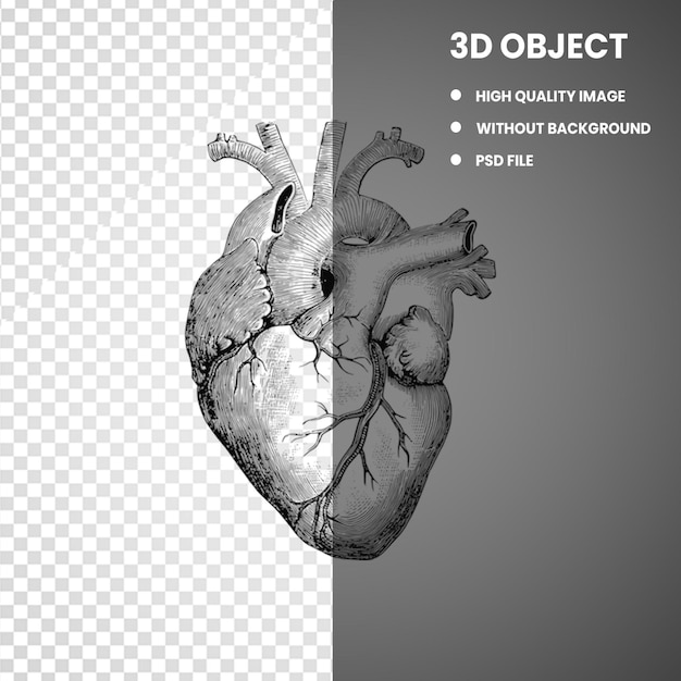 transparent heart