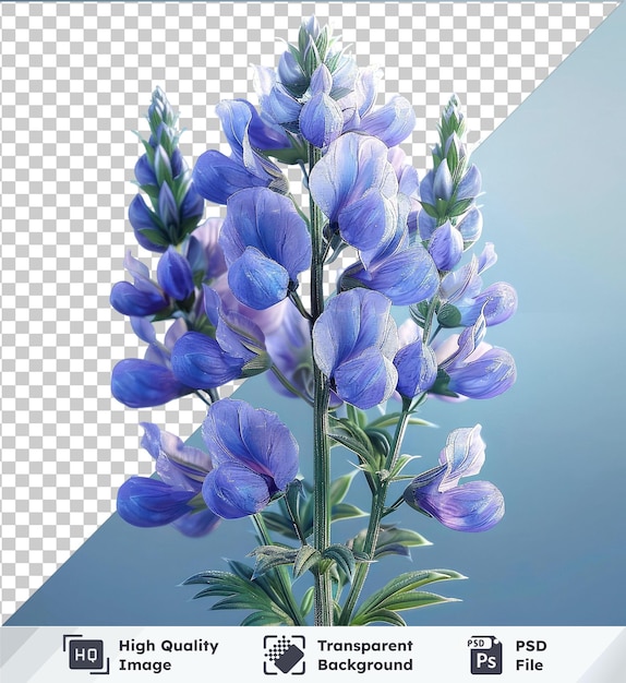 PSD transparent object aconitum png clipart purple flowers on a stem against a clear blue sky