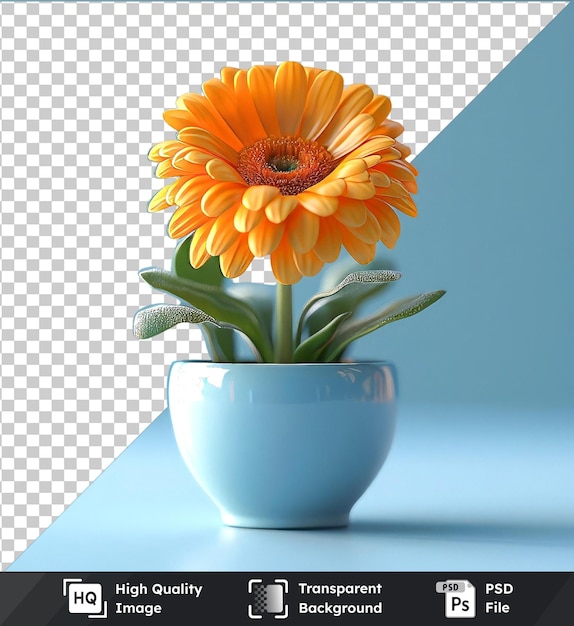 PSD transparent object calendula png clipart featuring an orange flower with yellow petals and a green leaf placed on a blue table with a white and blue bowl in the background