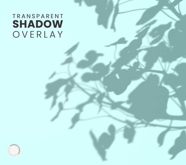 PSD transparent plant leaf shadow overlay template