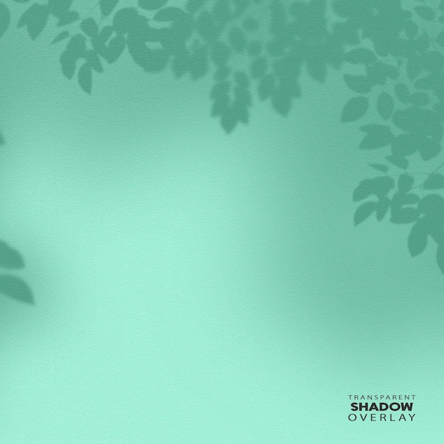 PSD transparent plant leaf shadow overlay template