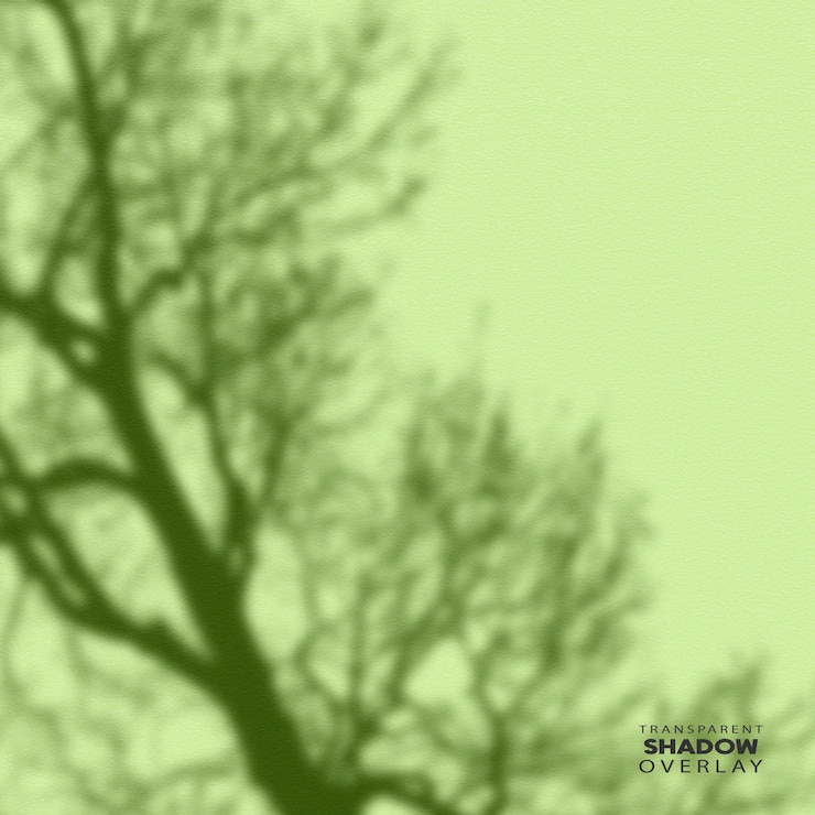 PSD transparent plant leaf shadow overlay template