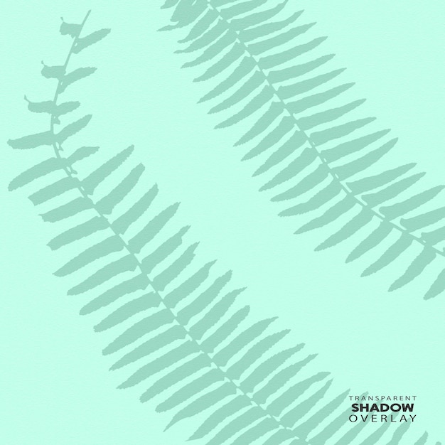 PSD transparent plant leaf shadow overlay template