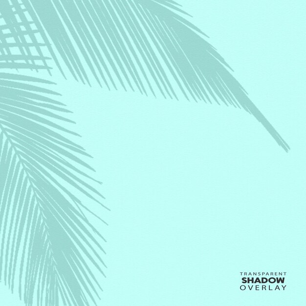 PSD transparent plant leaf shadow overlay template