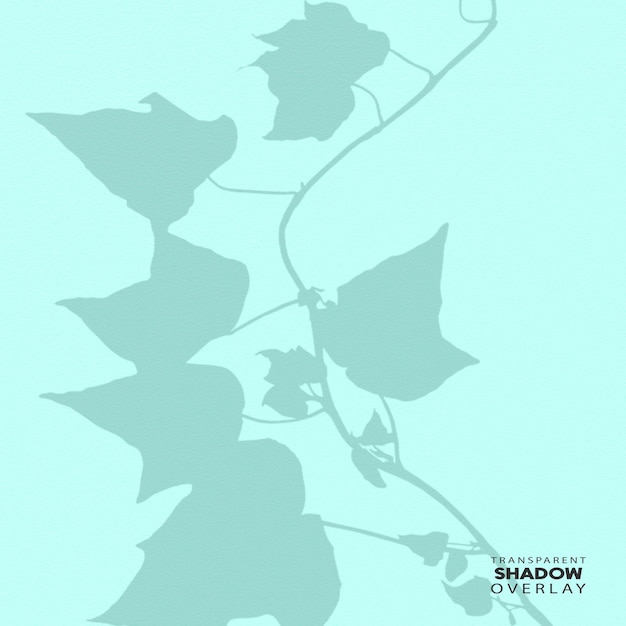 PSD modello di sovrapposizione trasparente delle ombre delle foglie delle piante