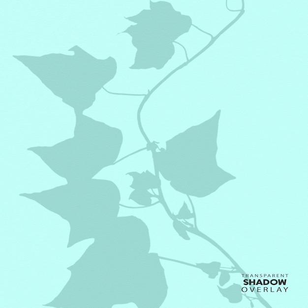 transparent plant leaf shadow overlay template