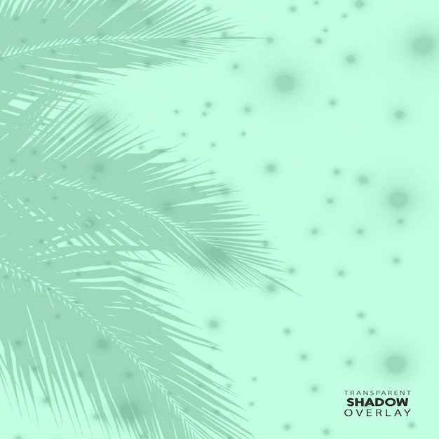 PSD transparent plant leaf shadow overlay template