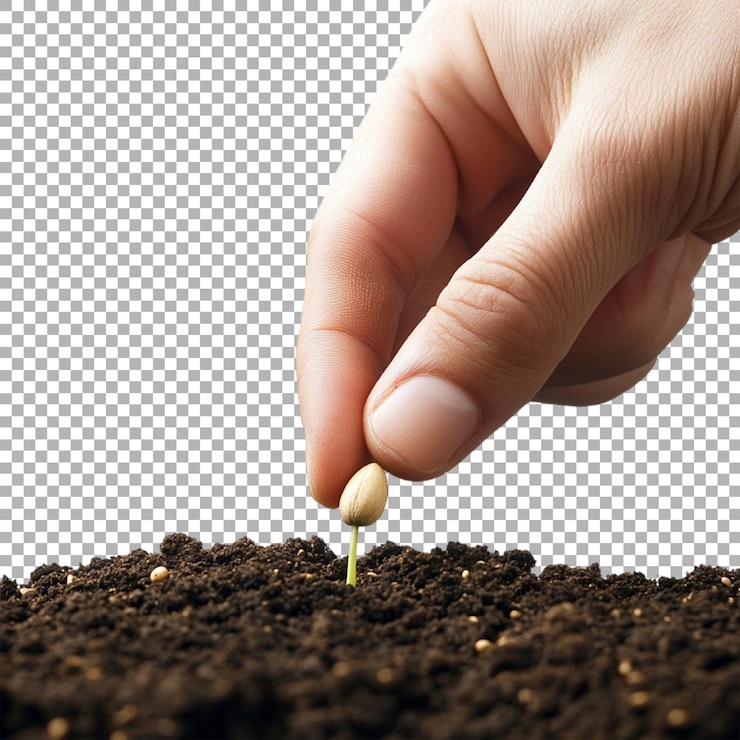 PSD 苗を植える手の透明またはpng画像