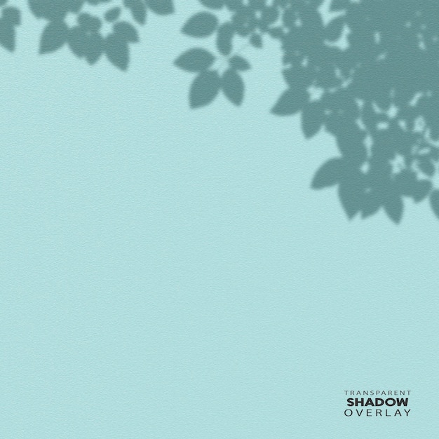 PSD transparent shadow overlay template transparent plant leaf shadow overlay