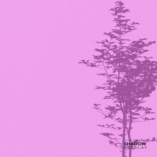 PSD transparent tree shadow overlay template