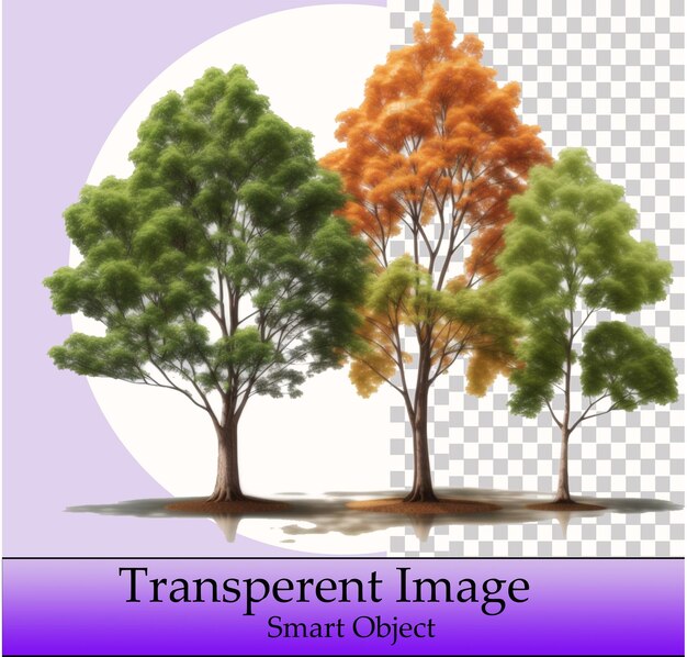 PSD transparent tree template psd amp png smart object for seamless design integration