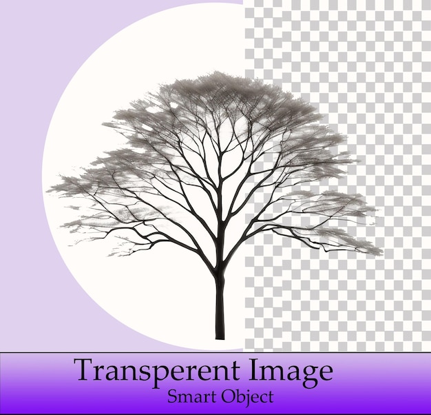 Transparent tree template psd amp png smart object for seamless design integration