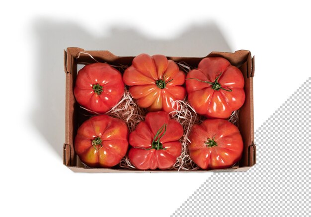 Tray of fresh tomatoes, mockup, top view