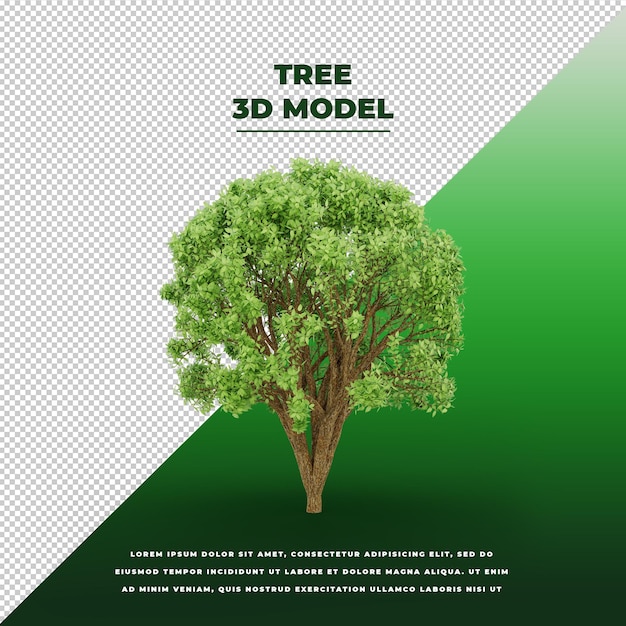 Modello 3d isolato dell'albero