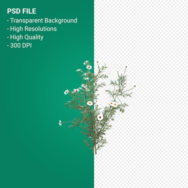 Tree 3d render isolated on transparent background