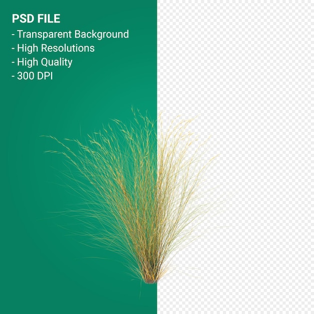 tree 3d render isolated on transparent background