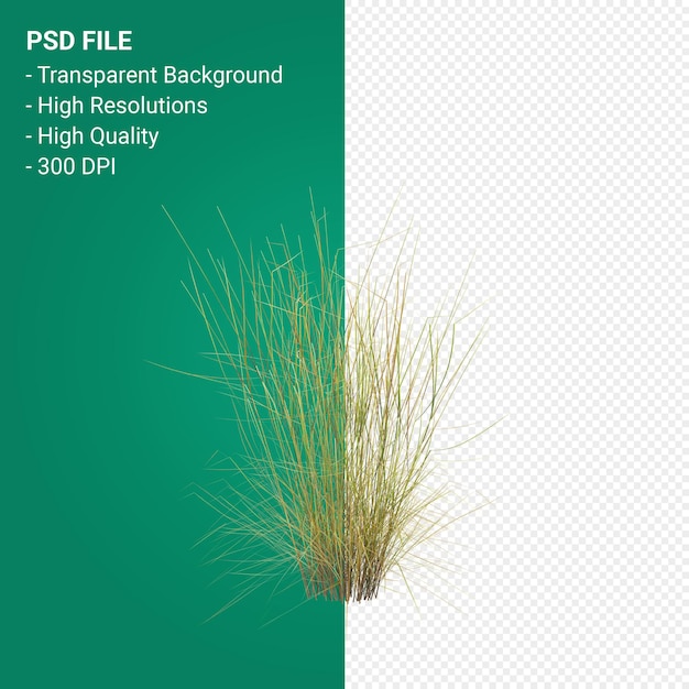 PSD tree 3d render isolated on transparent background