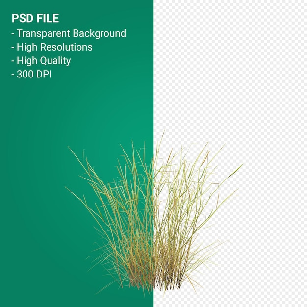 PSD tree 3d render isolated on transparent background