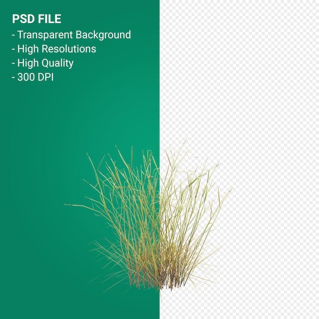 PSD tree 3d render isolated