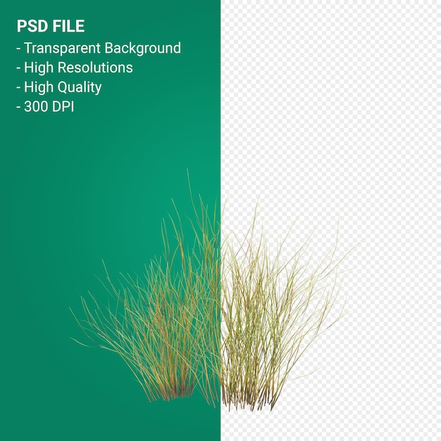 PSD tree 3d render isolated