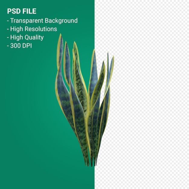 PSD tree 3d render isolated