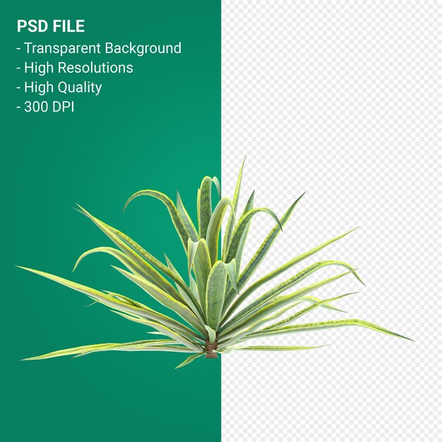 PSD tree 3d render isolated