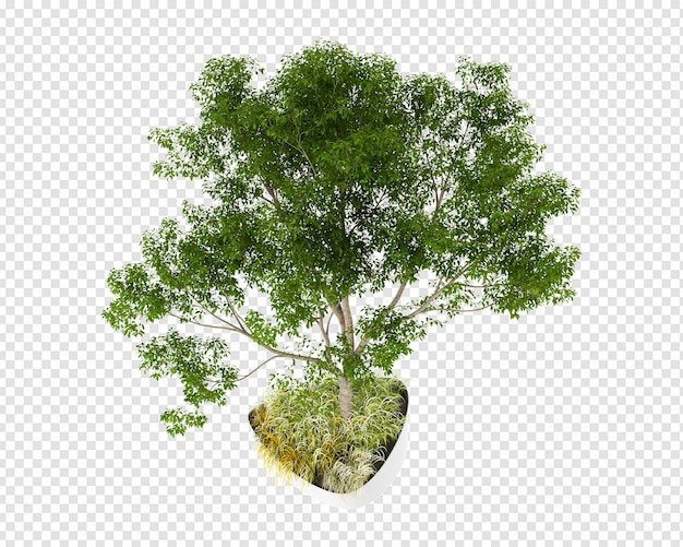PSD tree in 3d rendering isolated