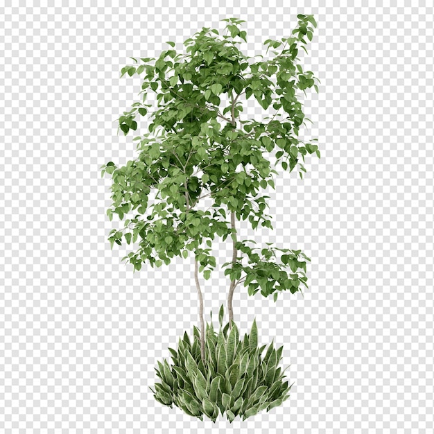 Tree in 3d rendering isolated