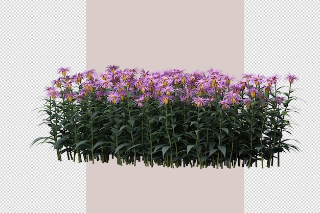 Tree in 3d rendering isolated
