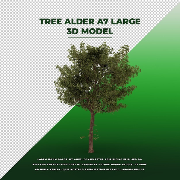 Modello 3d isolato dell'ontano dell'albero