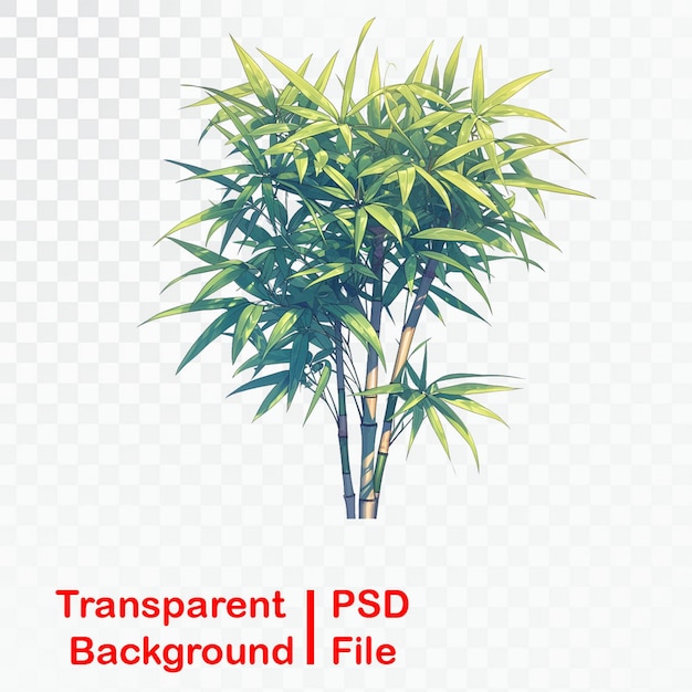 PSD 透明な背景の木と竹の葉