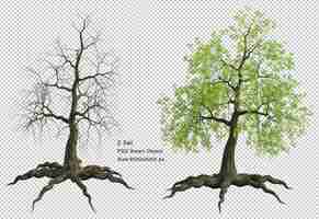 PSD 木と枯れ木が分離された3dレンダリング
