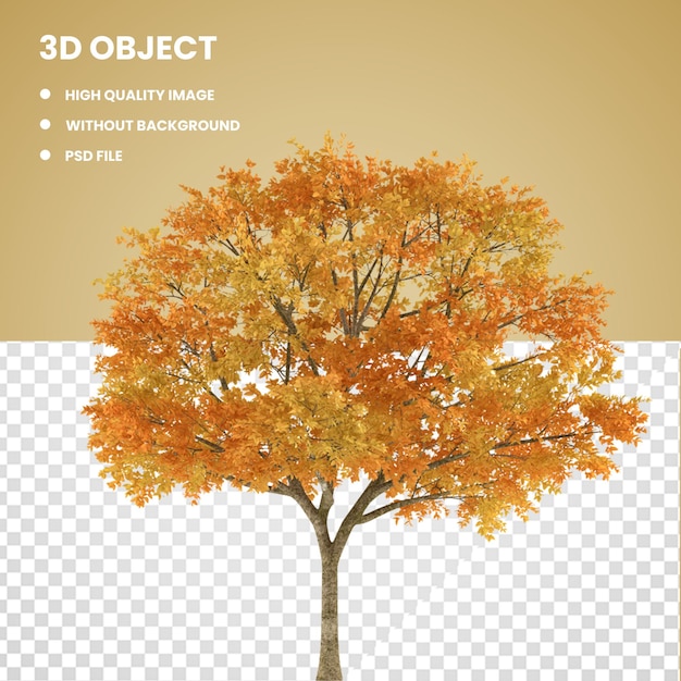 PSD tree autumn maple