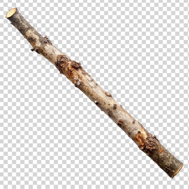 PSD tree branch isolated on transparent background