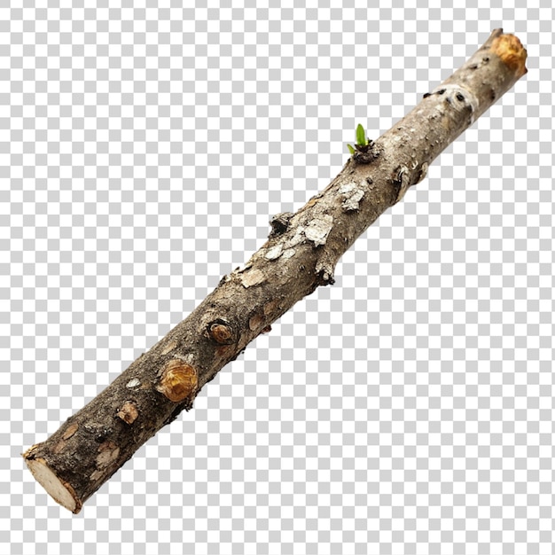 PSD tree branch isolated on transparent background