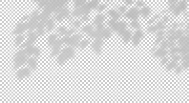 tree branch leaves shade dynamic blow 3d render