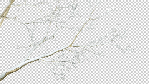 木の枝が透明な背景で冬を過ごす 3D レンダリング png
