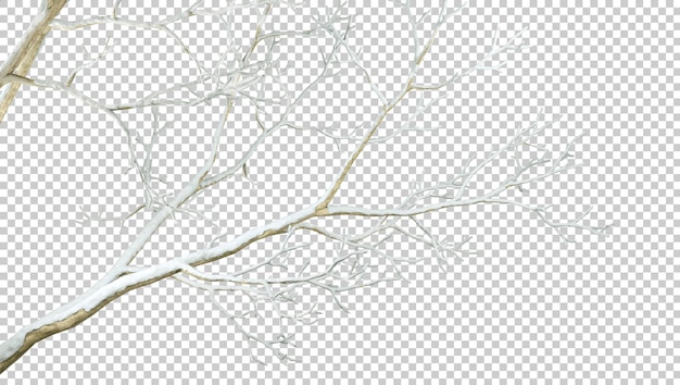 PSD tree branches winter on transparent backgrounds 3d render png