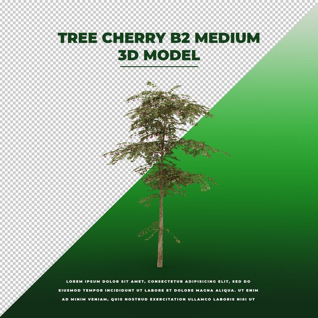 Tree cherry 3d geïsoleerd model