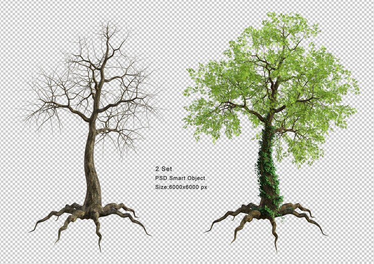PSD tree and dead tree isolated 3d render