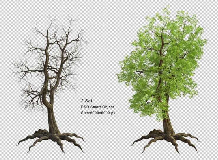 PSD tree and dead tree isolated 3d render