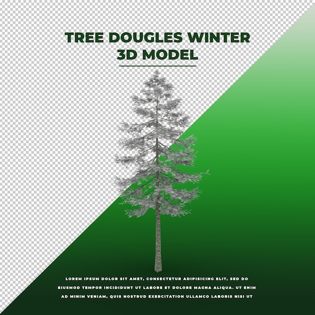 Modello isolato tree dougles winter 3d