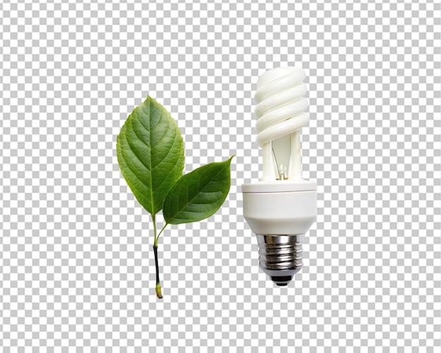 PSD tree growing on light bulb with sunshine in nature saving energy and eco concept
