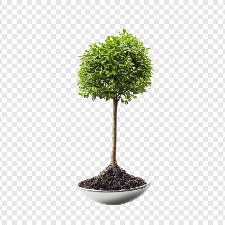 PSD tree growing in a spoon