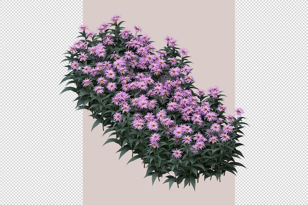 tree in 3d rendering isolated