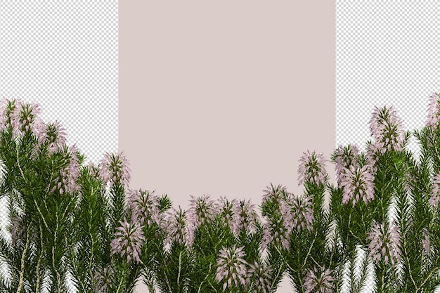 Tree in 3d rendering isolated